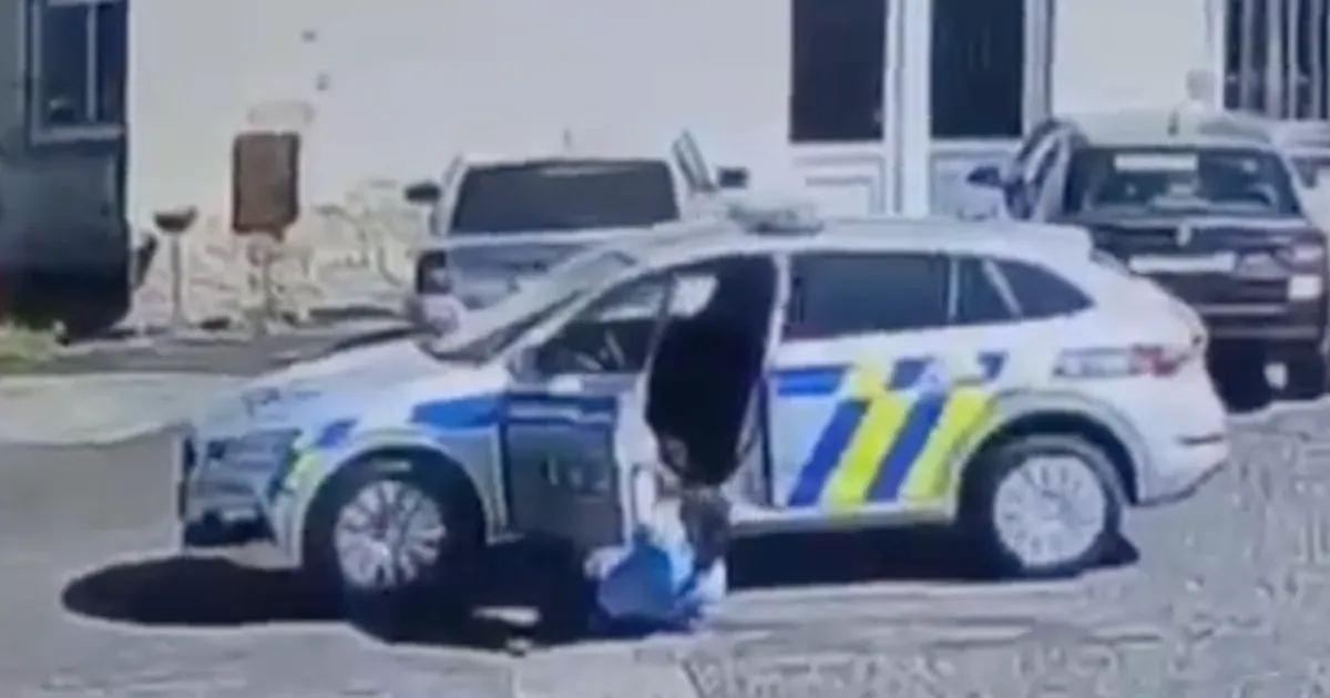 A police officer was run over by her own car
